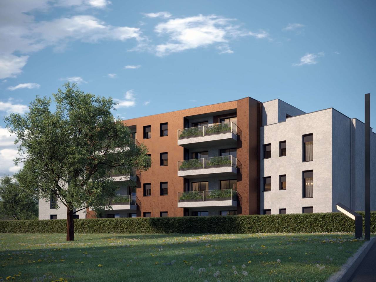 immagine annuncio 6 di 15