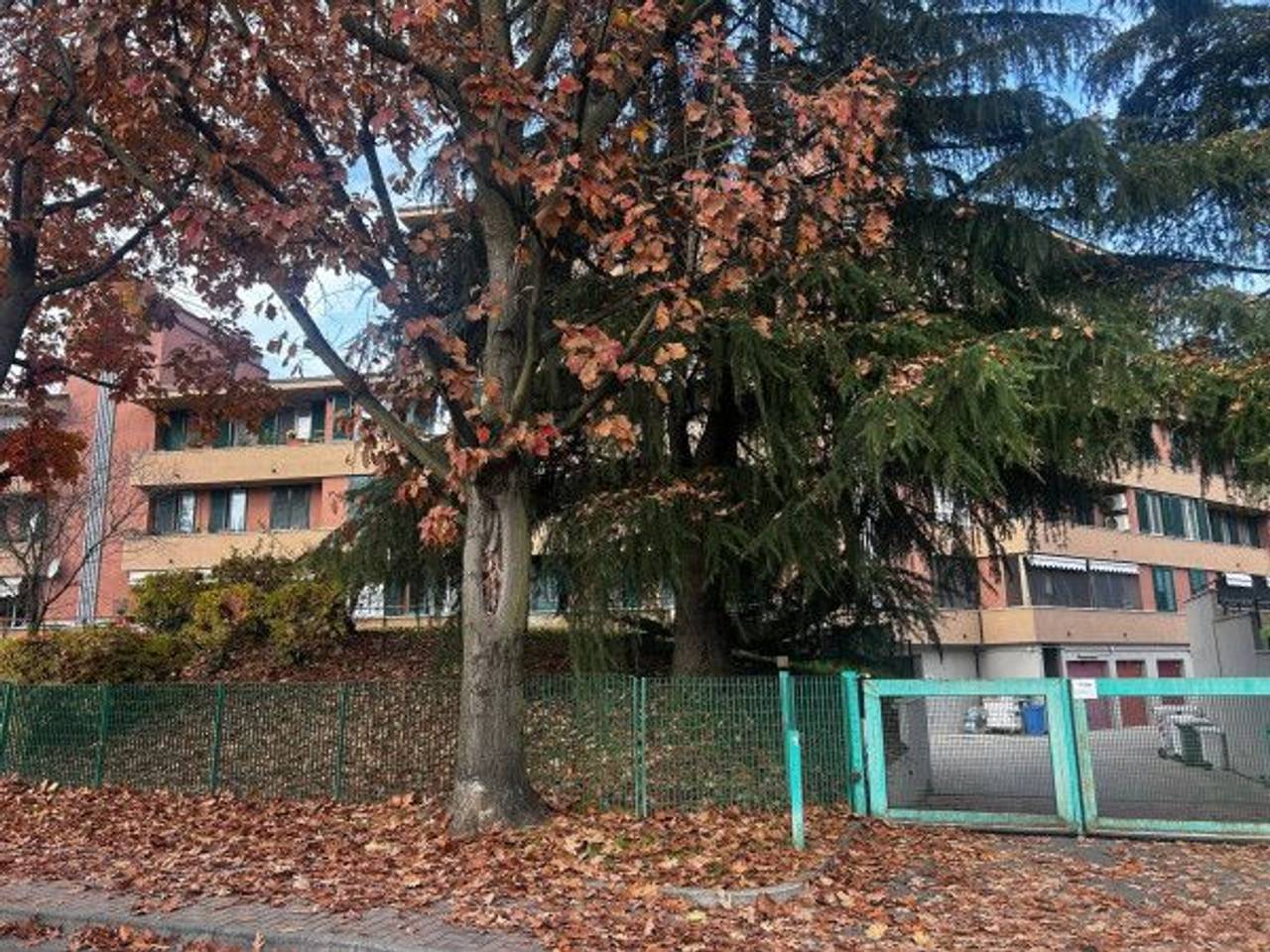 immagine annuncio 8 di 9