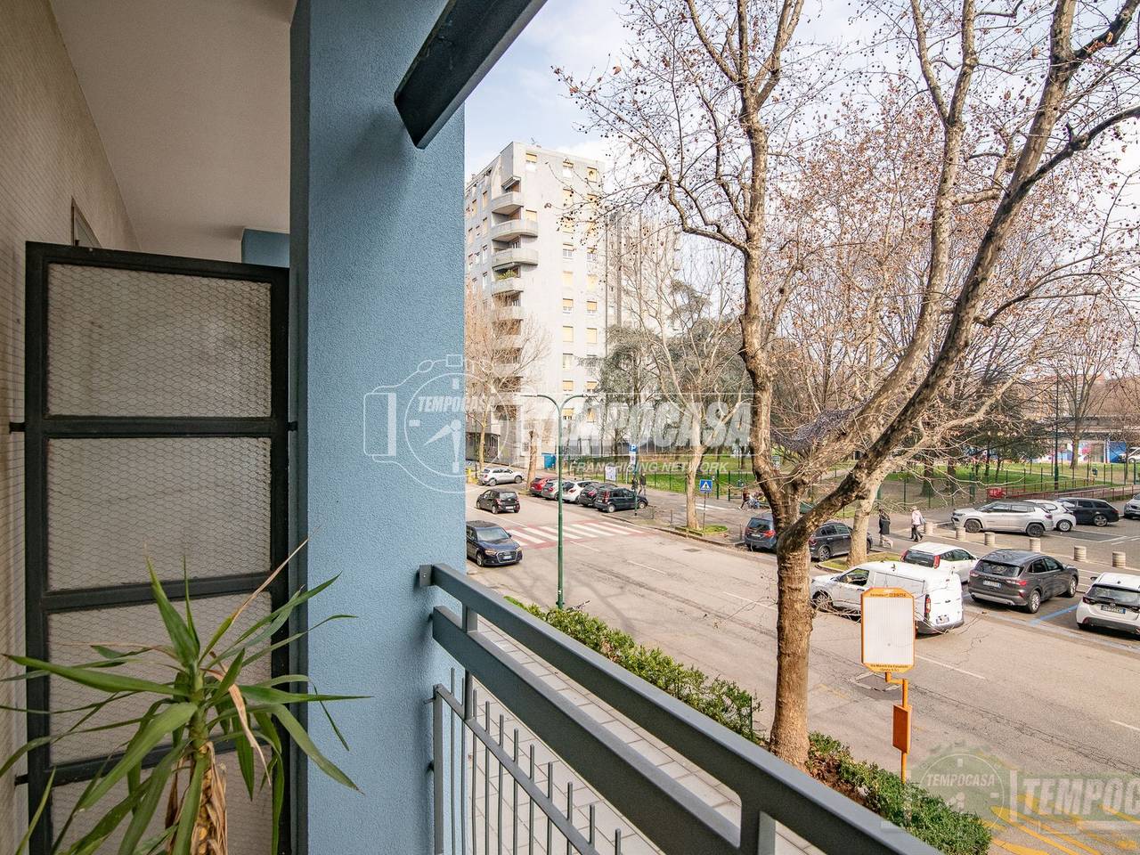 immagine annuncio 3 di 12