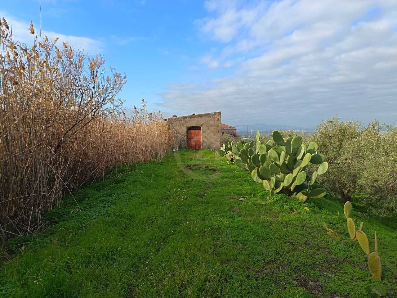 immagine annuncio 7 di 11