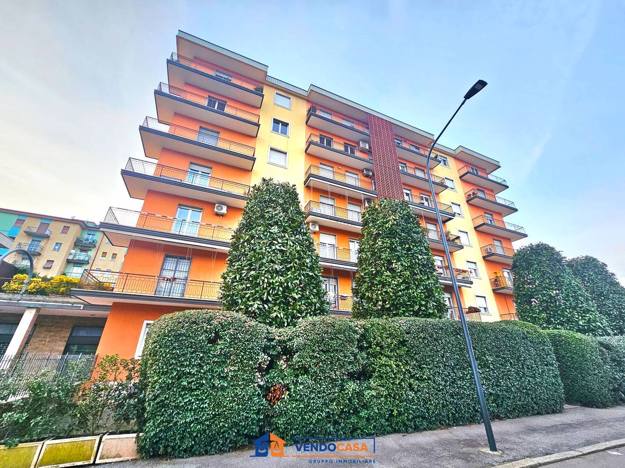 immagine annuncio 1 di 15