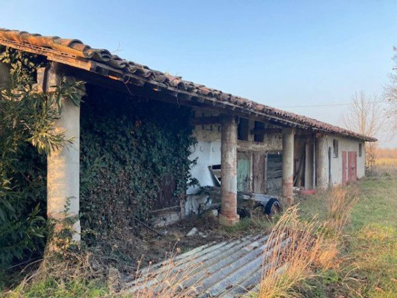 immagine annuncio 5 di 13