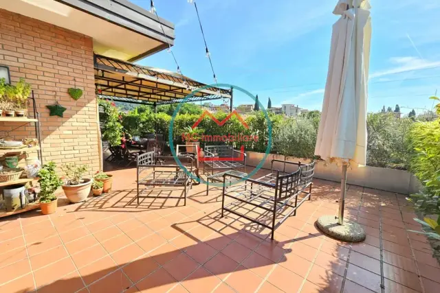 insertion image