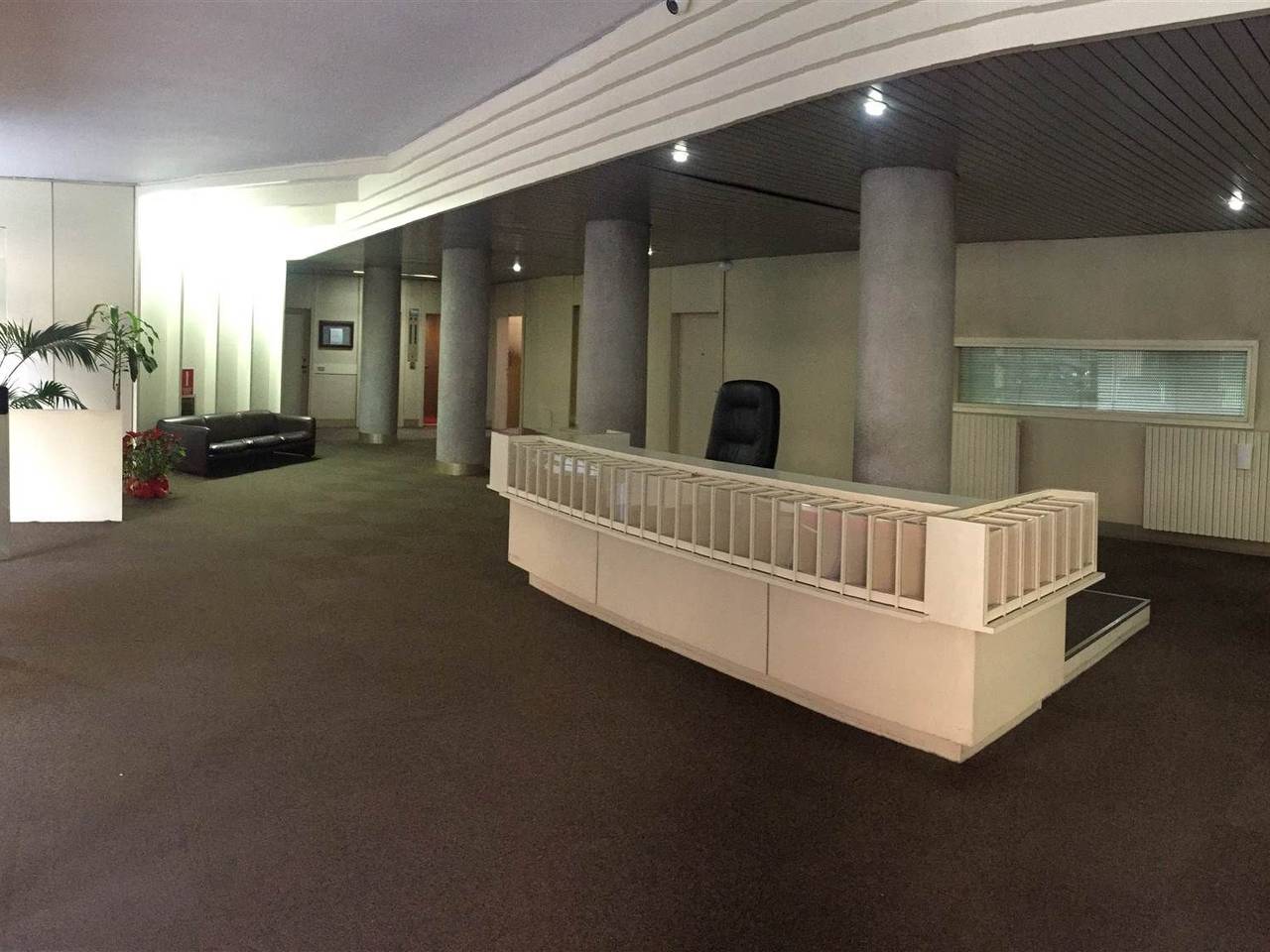 immagine annuncio 12 di 14