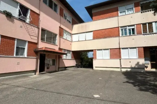 insertion image
