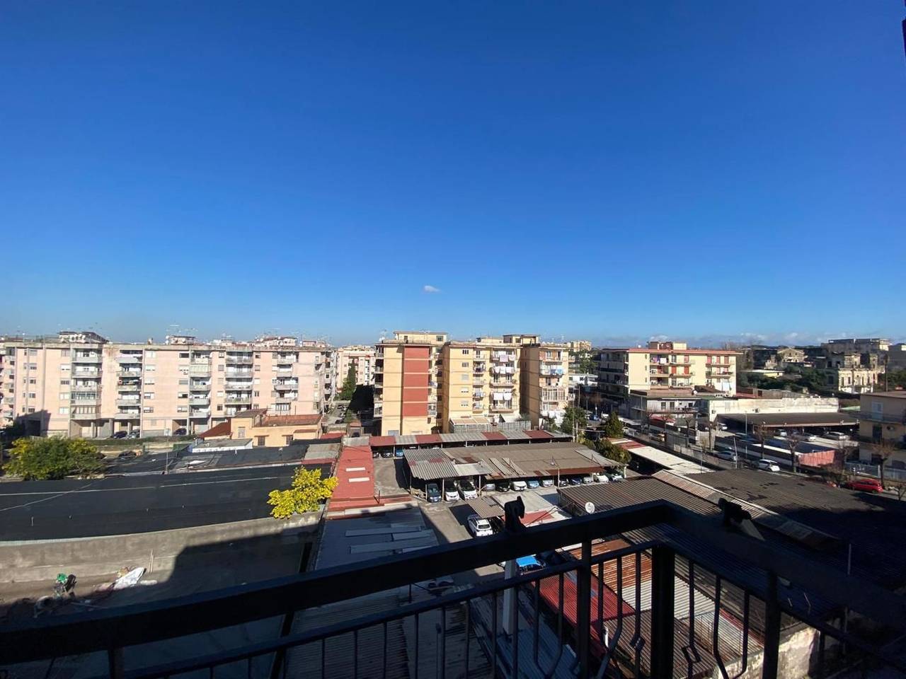 immagine annuncio 12 di 15