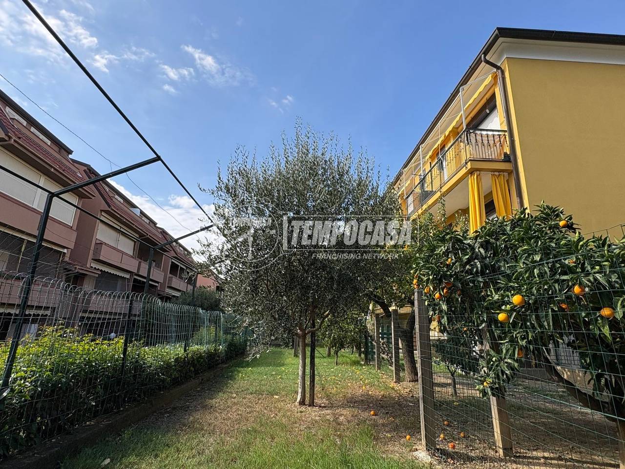 immagine annuncio 11 di 15