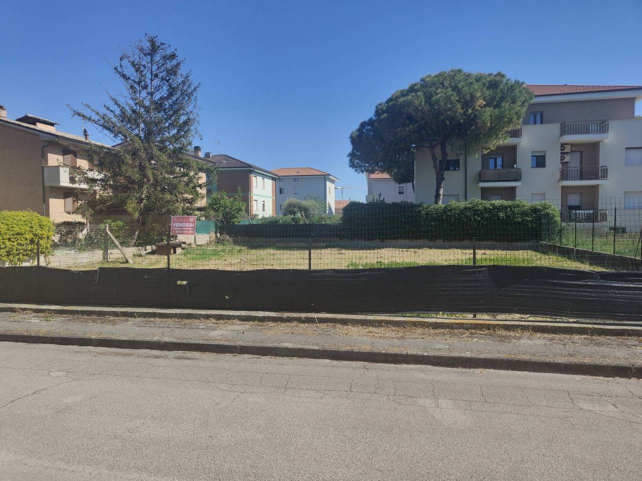 immagine annuncio 2 di 6