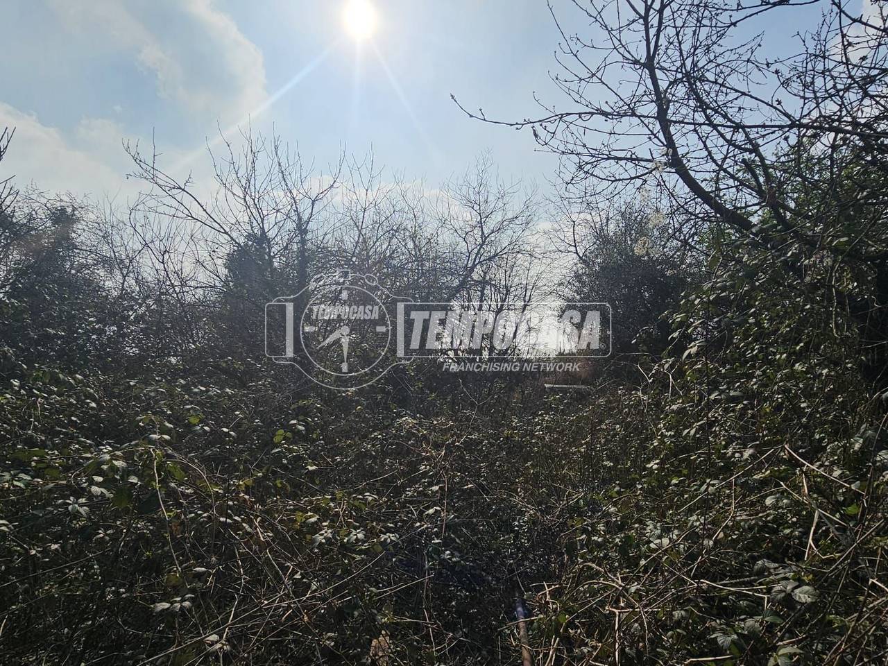 immagine annuncio 5 di 12