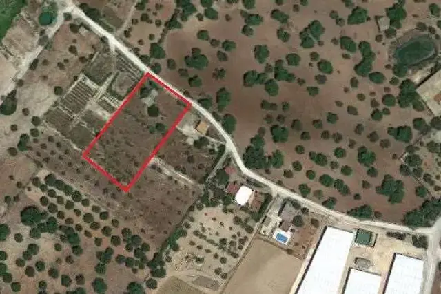 insertion image