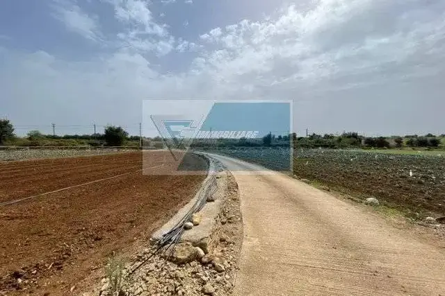 insertion image