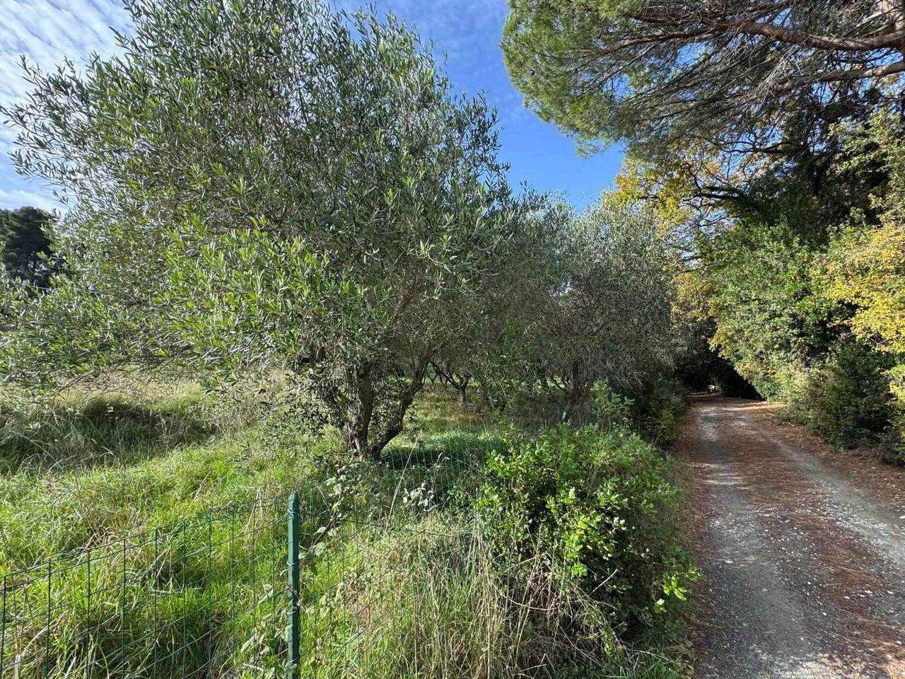 immagine annuncio 2 di 8