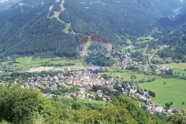 insertion image