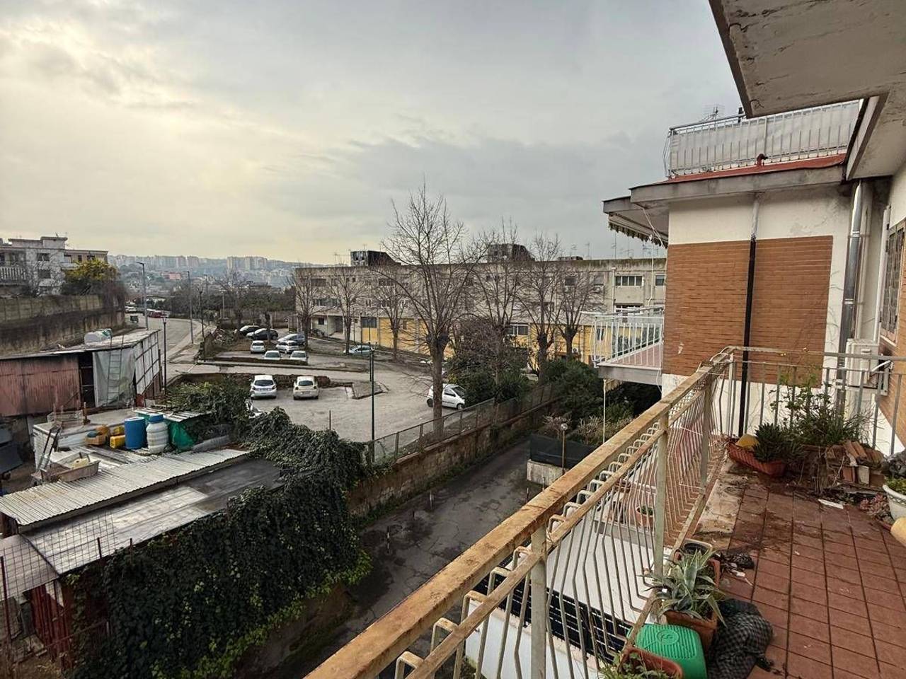 immagine annuncio 12 di 15