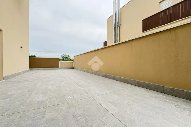 insertion image