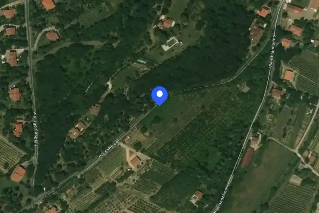 insertion image