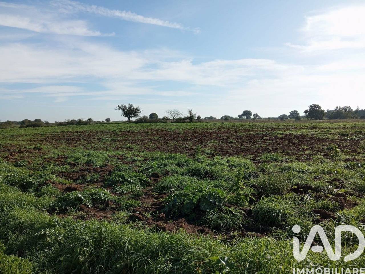 immagine annuncio 4 di 9