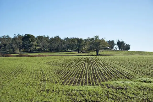 Building land, Ravenna - Photo 1