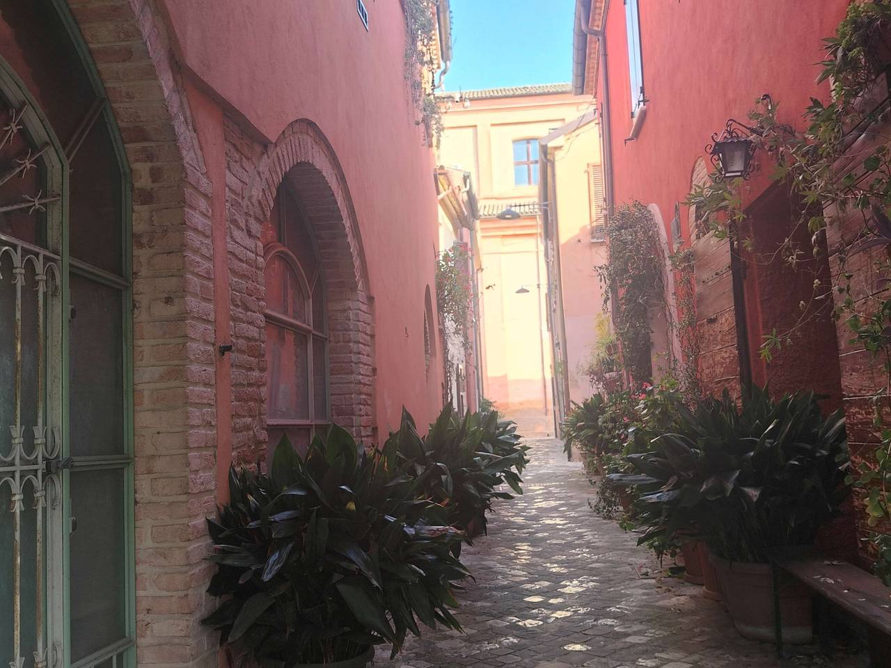 immagine annuncio 4 di 13