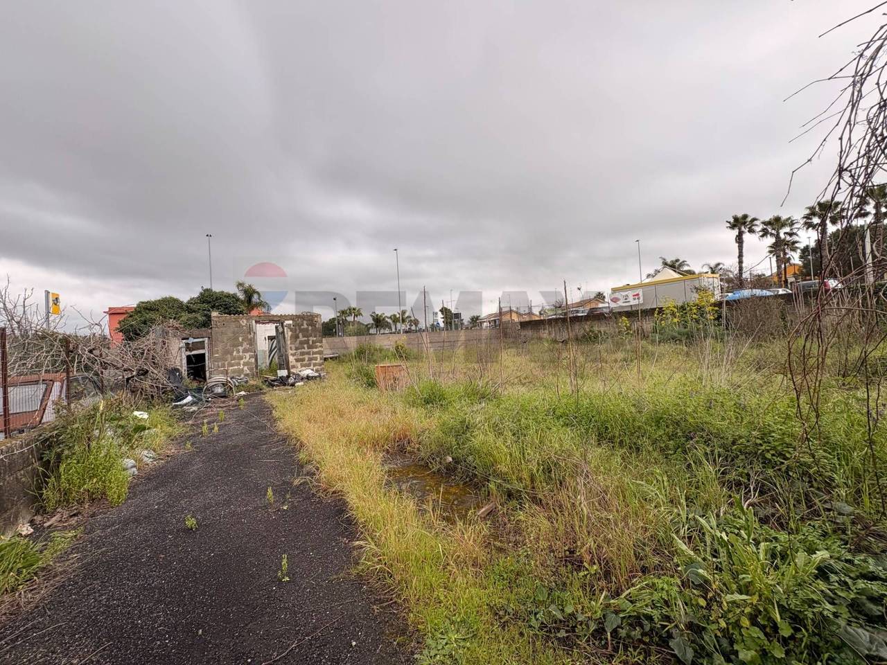 immagine annuncio 2 di 6