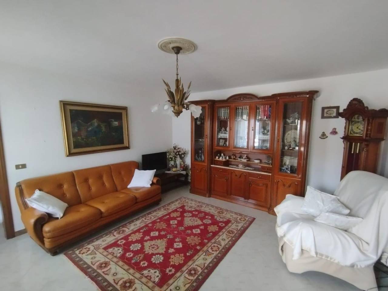 immagine annuncio 1 di 12