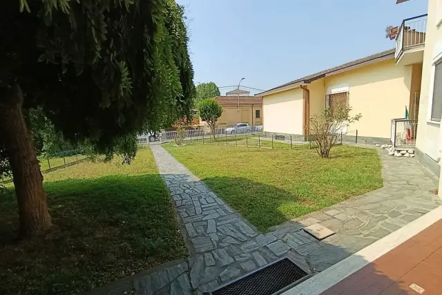 insertion image