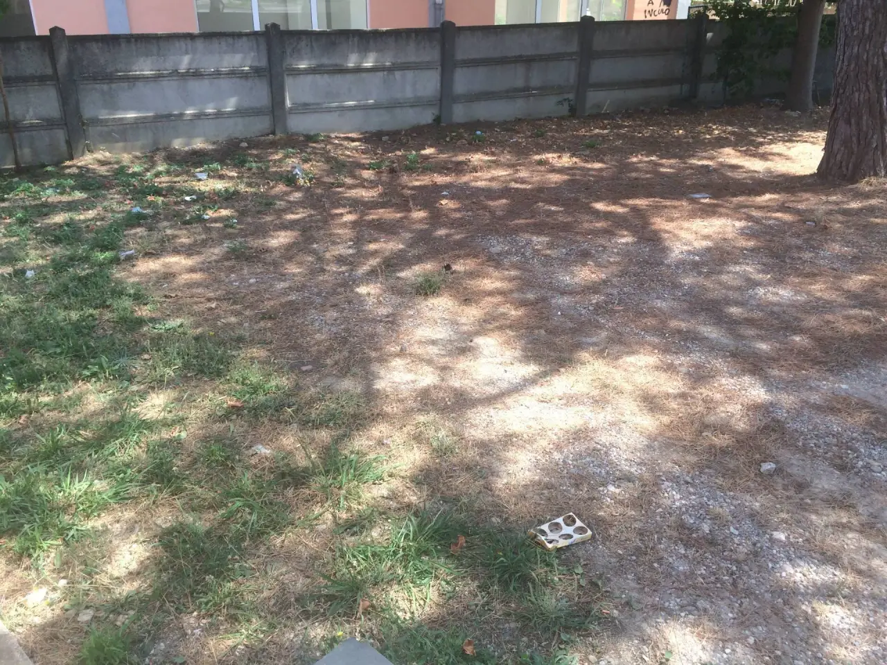 Esercizio commerciale in Via Umberto Terracini 22, Cascina, {3} - Foto 2