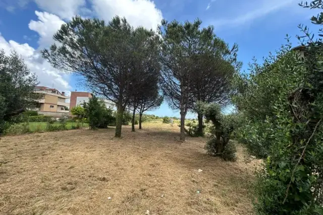 insertion image