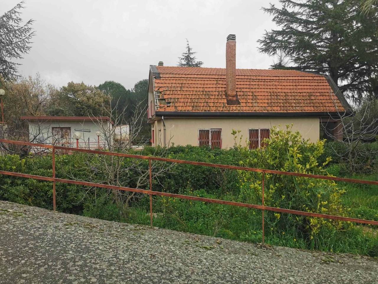 immagine annuncio 1 di 12