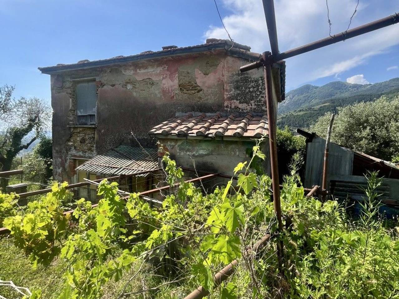 immagine annuncio 12 di 15