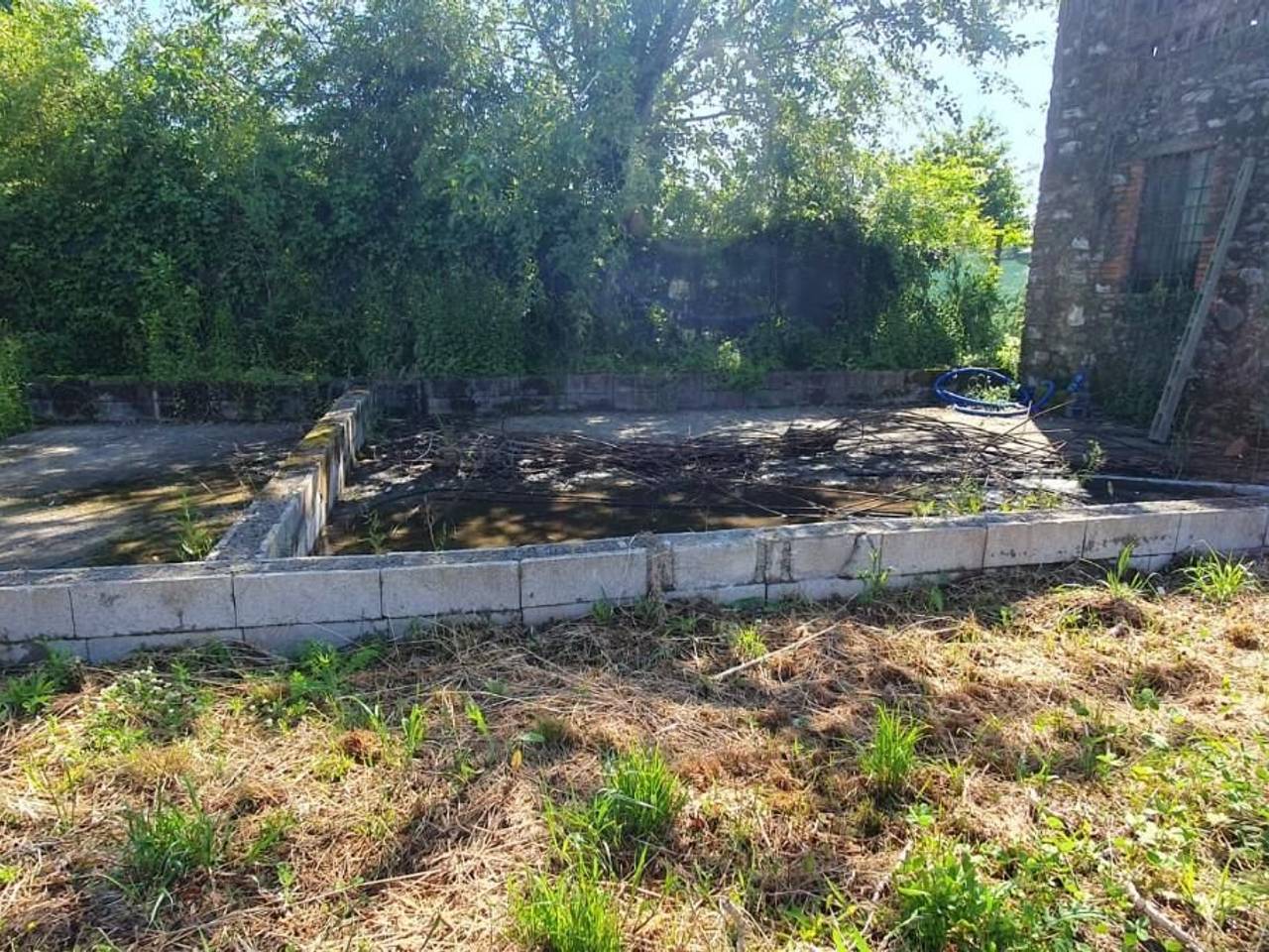 immagine annuncio 6 di 11