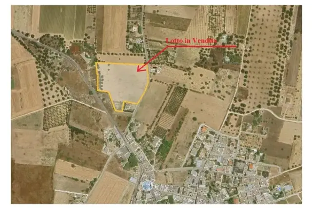 insertion image