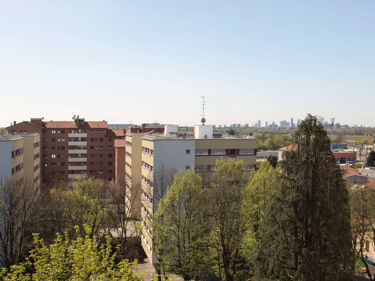 immagine annuncio 12 di 15