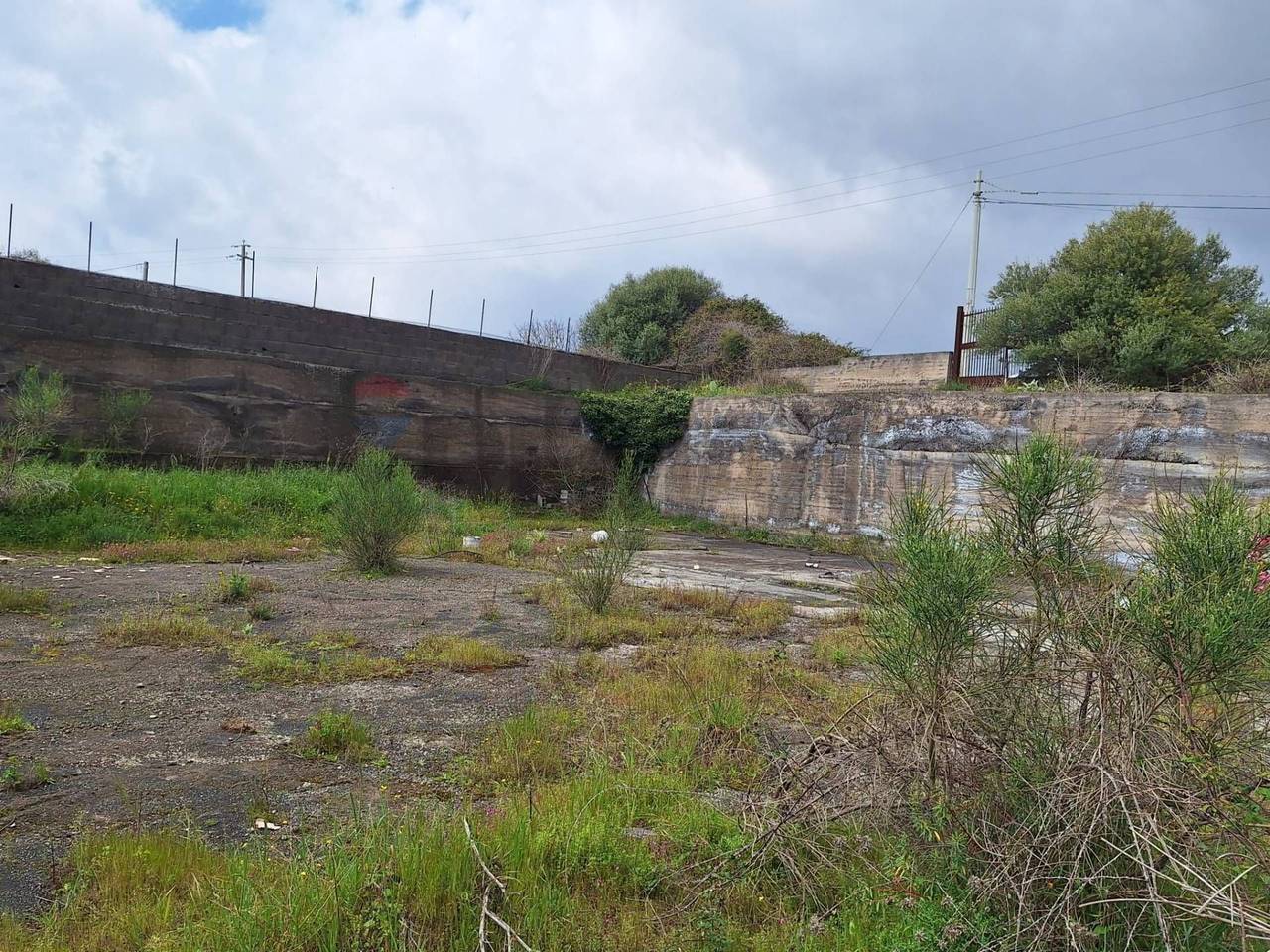 immagine annuncio 7 di 9