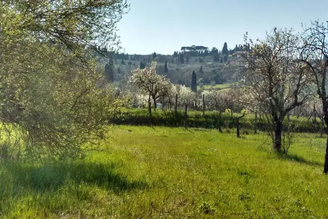 Terreno agricolo, Scandicci - Foto 1