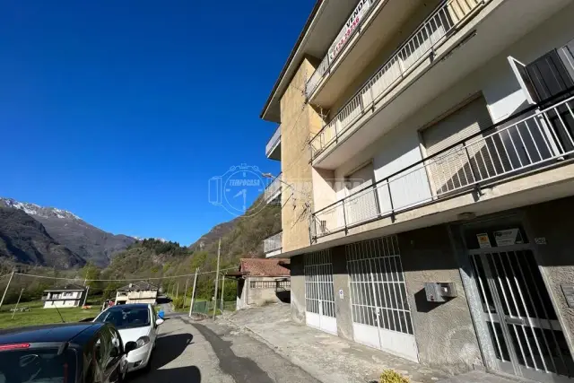 insertion image