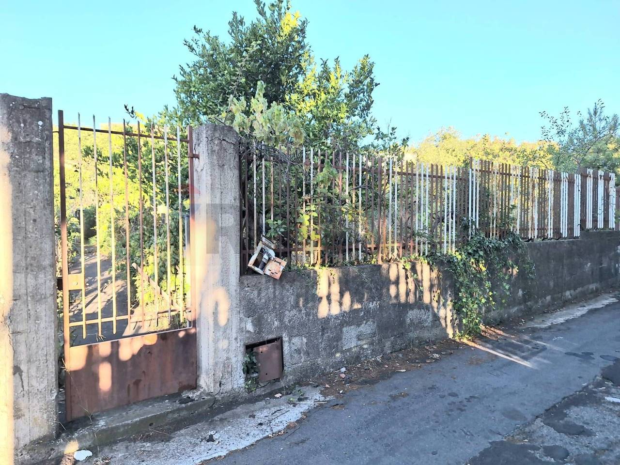 immagine annuncio 3 di 6