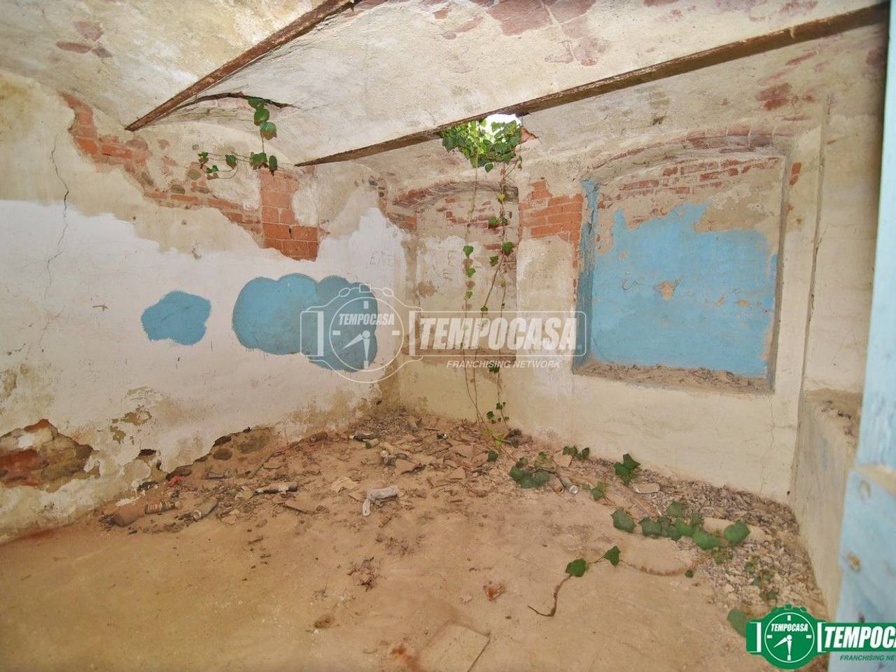 immagine annuncio 5 di 11