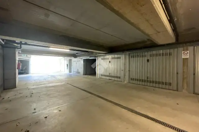 insertion image
