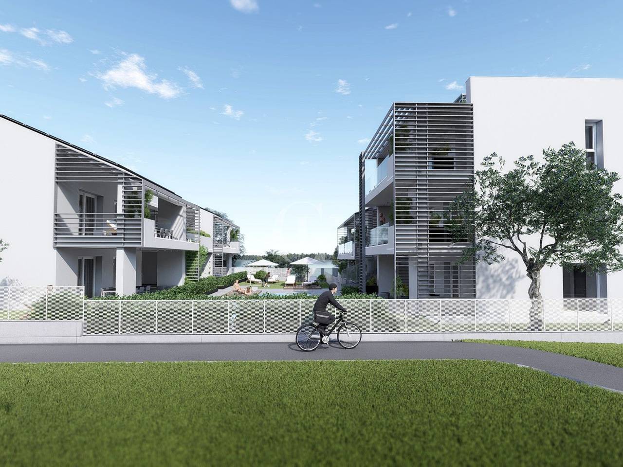 immagine annuncio 5 di 14