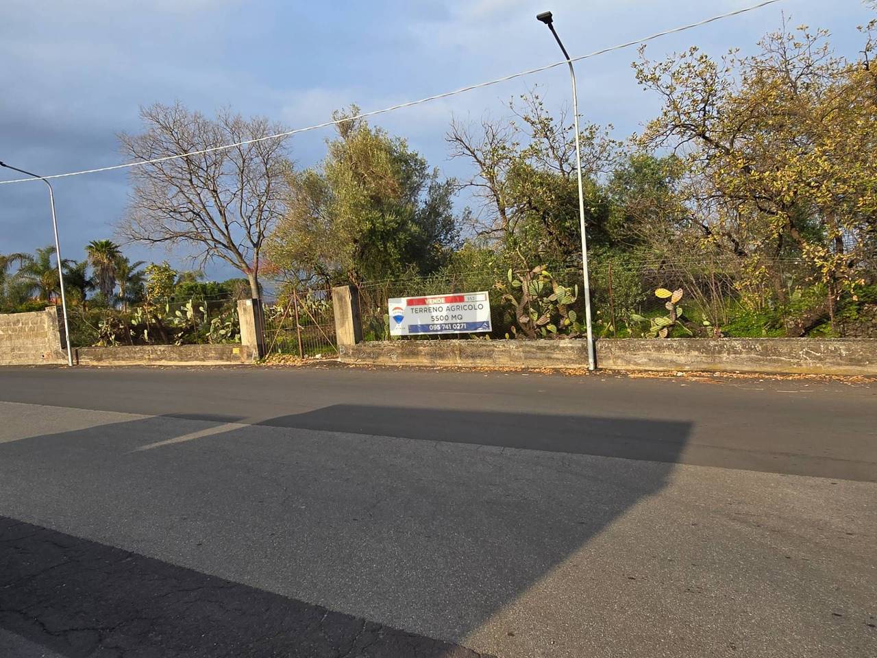 immagine annuncio 2 di 6