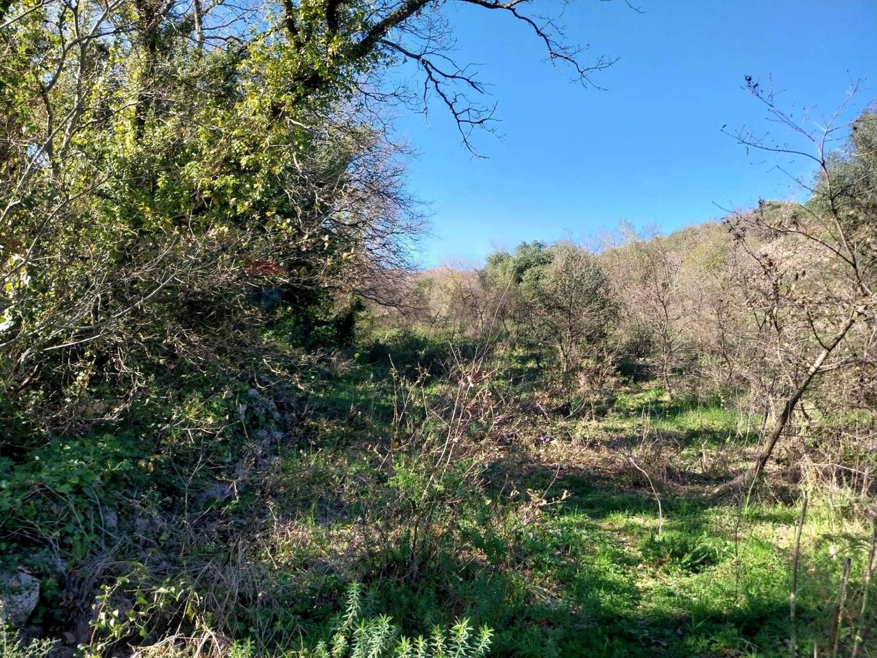 immagine annuncio 13 di 14