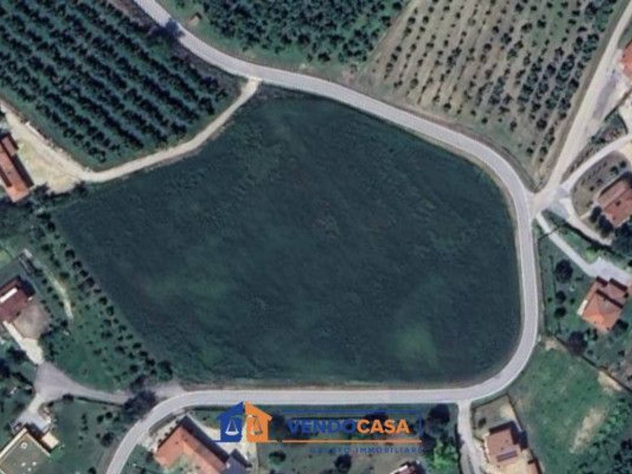 immagine annuncio 1 di 4