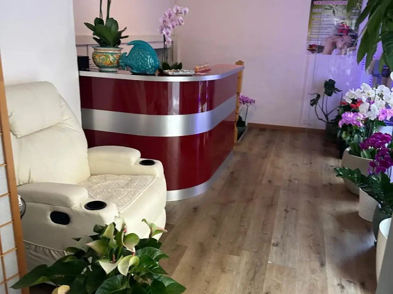 Solarium in Via di Bellariva, Firenze, {3} - Foto 2