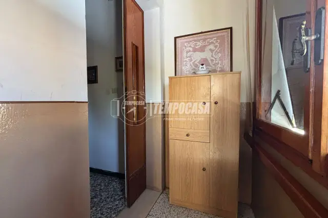 insertion image