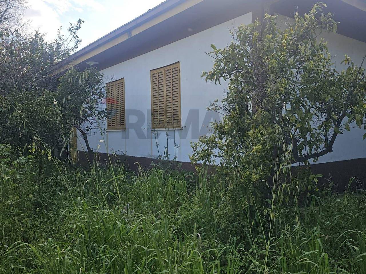 immagine annuncio 4 di 8