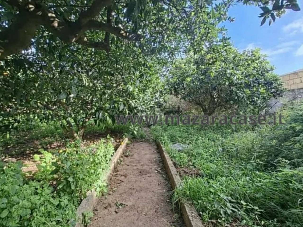 immagine annuncio 3 di 6