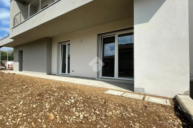 insertion image
