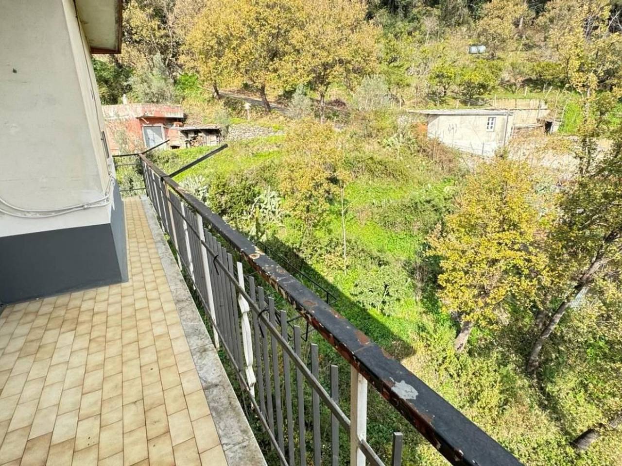 immagine annuncio 8 di 13