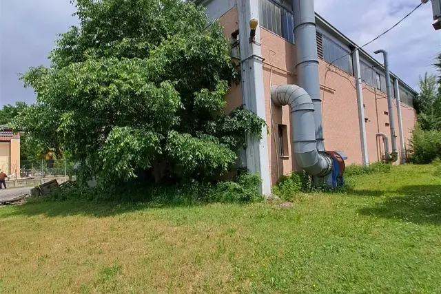 insertion image